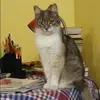 Отзыв от Ида Уткина